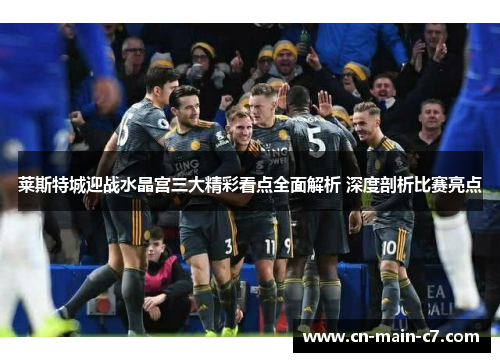 莱斯特城迎战水晶宫三大精彩看点全面解析 深度剖析比赛亮点