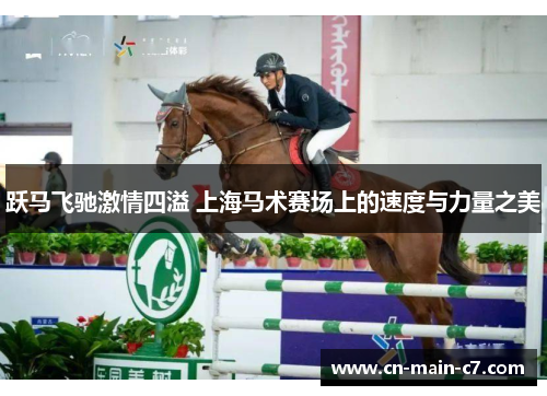 跃马飞驰激情四溢 上海马术赛场上的速度与力量之美