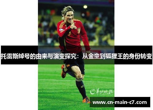 托雷斯绰号的由来与演变探究：从金童到狐狸王的身份转变