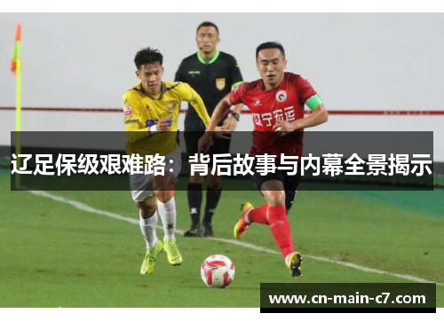 辽足保级艰难路：背后故事与内幕全景揭示