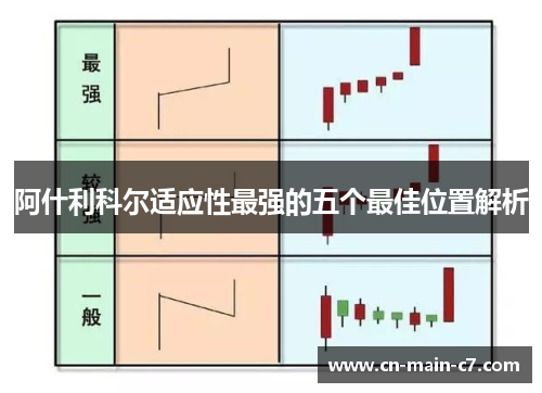 阿什利科尔适应性最强的五个最佳位置解析