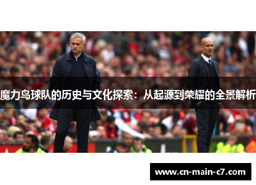 魔力鸟球队的历史与文化探索：从起源到荣耀的全景解析