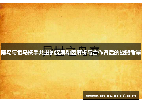 魔鸟与老马携手共进的深层动因解析与合作背后的战略考量