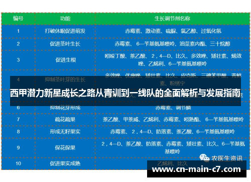 西甲潜力新星成长之路从青训到一线队的全面解析与发展指南 西甲潜力新星成长之路从青训到一线队的全面解析与发展指南