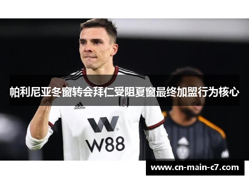 帕利尼亚冬窗转会拜仁受阻夏窗最终加盟行为核心 帕利尼亚冬窗转会拜仁受阻夏窗最终加盟行为核心
