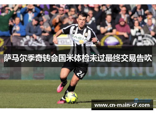 萨马尔季奇转会国米体检未过最终交易告吹