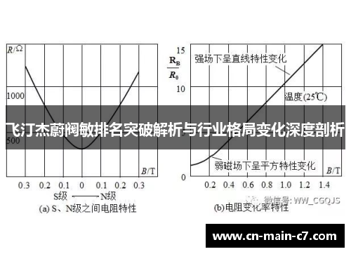 飞汀杰蔚阀敏排名突破解析与行业格局变化深度剖析