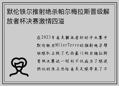 默伦铁尔推射绝杀帕尔梅拉斯晋级解放者杯决赛激情四溢